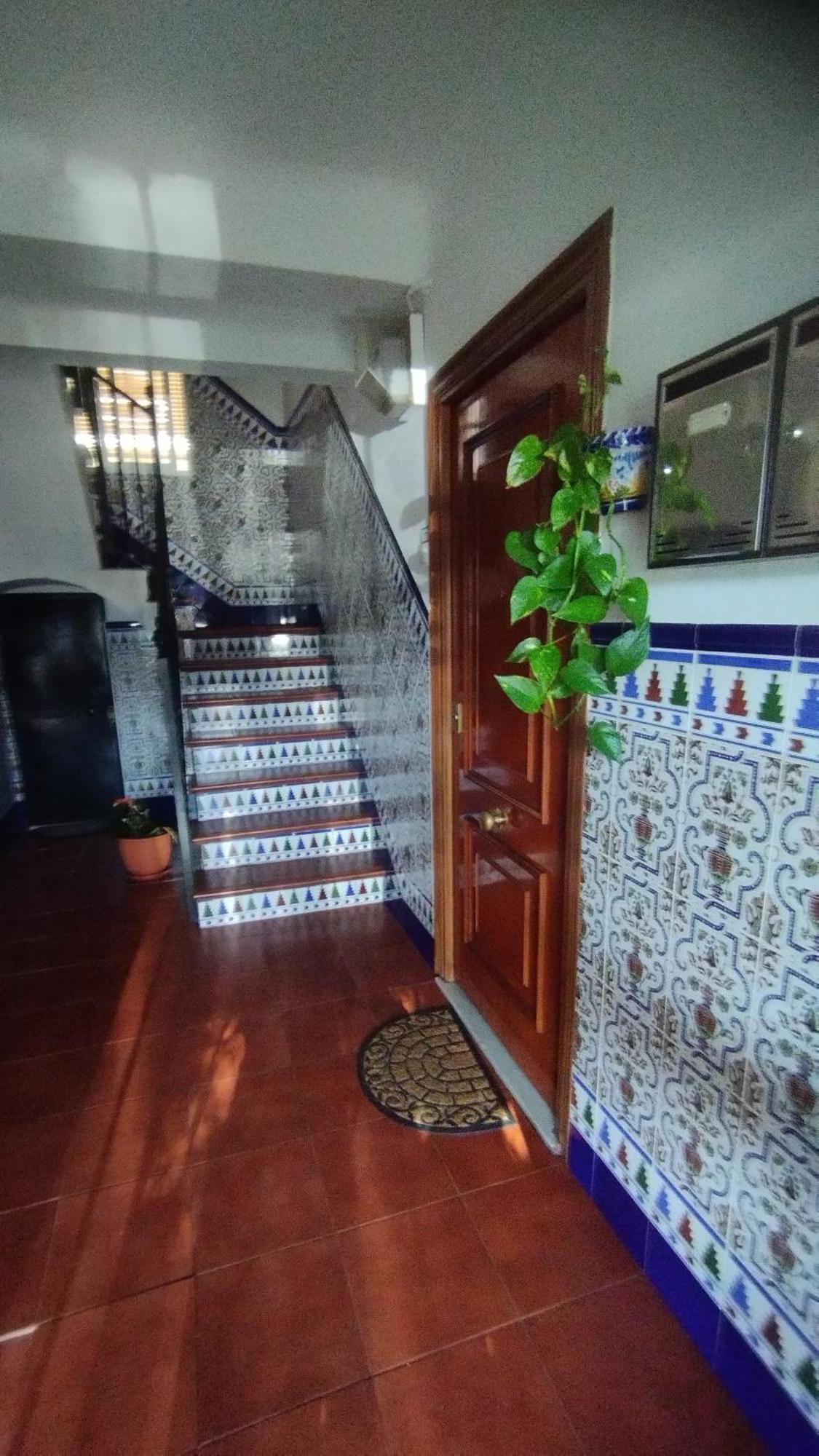 Apartamento 1 Dormitorio Y Salon Con Sofa Cama Bien Comunicado Con El Centro เซบีญา ภายนอก รูปภาพ